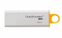 Kingston Technology DataTraveler G4 8GB