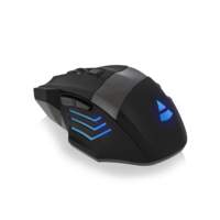 Ewent PL3300 USB Optisch 3200DPI Rechtshandig Zwart muis